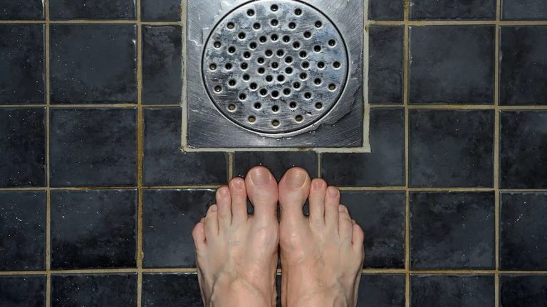 Revealing The Unexpected Causes Of Slow Shower Drain Lyx Reality