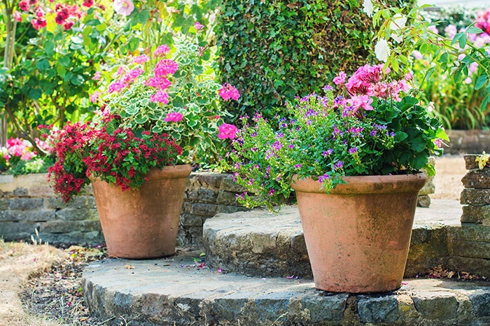 6 Ways To Get More From Your Garden