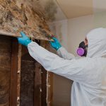 Black Mold Removal